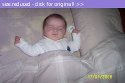 Posted image has been reduced in size. Size of original image (81420 KB) is 800 x 533 pixels. Click image to view full size and better quality!