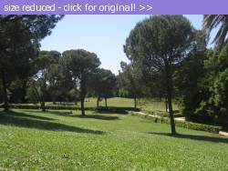 Posted image has been reduced in size. Size of original image (1316438 KB) is 1600 x 1200 pixels. Click image to view full size and better quality!