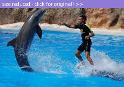 Posted image has been reduced in size. Size of original image (114005 KB) is 800 x 558 pixels. Click image to view full size and better quality!
