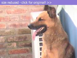 Posted image has been reduced in size. Size of original image (126587 KB) is 640 x 480 pixels. Click image to view full size and better quality!