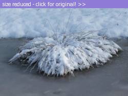 Posted image has been reduced in size. Size of original image (98021 KB) is 1024 x 768 pixels. Click image to view full size and better quality!