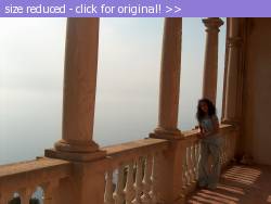 Posted image has been reduced in size. Size of original image (374877 KB) is 2608 x 1952 pixels. Click image to view full size and better quality!