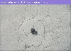 Posted image has been reduced in size. Size of original image (218462 KB) is 640 x 464 pixels. Click image to view full size and better quality!