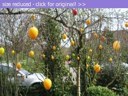 Posted image has been reduced in size. Size of original image (234943 KB) is 709 x 531 pixels. Click image to view full size and better quality!