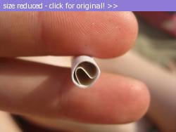 Posted image has been reduced in size. Size of original image (88632 KB) is 640 x 480 pixels. Click image to view full size and better quality!