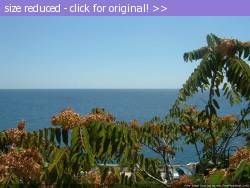 Posted image has been reduced in size. Size of original image (80614 KB) is 1024 x 768 pixels. Click image to view full size and better quality!