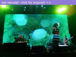 Posted image has been reduced in size. Size of original image (404292 KB) is 1280 x 960 pixels. Click image to view full size and better quality!