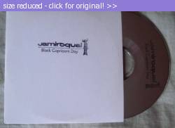 Posted image has been reduced in size. Size of original image (96431 KB) is 598 x 435 pixels. Click image to view full size and better quality!