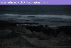 Posted image has been reduced in size. Size of original image (36012 KB) is 800 x 536 pixels. Click image to view full size and better quality!