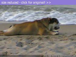 Posted image has been reduced in size. Size of original image (23288 KB) is 640 x 480 pixels. Click image to view full size and better quality!