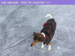 Posted image has been reduced in size. Size of original image (179673 KB) is 1024 x 768 pixels. Click image to view full size and better quality!