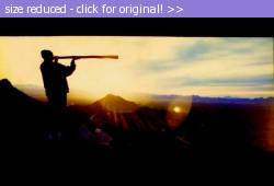 Posted image has been reduced in size. Size of original image (14290 KB) is 600 x 406 pixels. Click image to view full size and better quality!