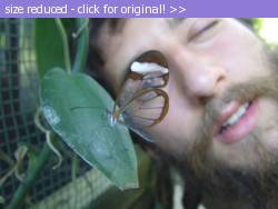 Posted image has been reduced in size. Size of original image (74381 KB) is 640 x 480 pixels. Click image to view full size and better quality!