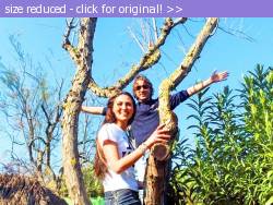 Posted image has been reduced in size. Size of original image (195823 KB) is 640 x 480 pixels. Click image to view full size and better quality!