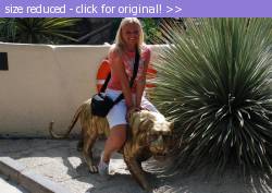 Posted image has been reduced in size. Size of original image (106364 KB) is 800 x 565 pixels. Click image to view full size and better quality!