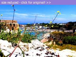 Posted image has been reduced in size. Size of original image (154051 KB) is 640 x 480 pixels. Click image to view full size and better quality!