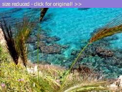 Posted image has been reduced in size. Size of original image (169447 KB) is 640 x 480 pixels. Click image to view full size and better quality!