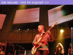 Posted image has been reduced in size. Size of original image (2288436 KB) is 3648 x 2736 pixels. Click image to view full size and better quality!