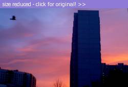 Posted image has been reduced in size. Size of original image (55437 KB) is 600 x 407 pixels. Click image to view full size and better quality!