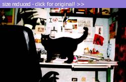 Posted image has been reduced in size. Size of original image (400562 KB) is 1024 x 671 pixels. Click image to view full size and better quality!