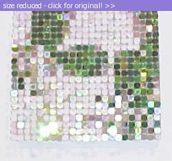 Posted image has been reduced in size. Size of original image (27361 KB) is 270 x 253 pixels. Click image to view full size and better quality!