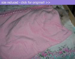 Posted image has been reduced in size. Size of original image (73172 KB) is 600 x 474 pixels. Click image to view full size and better quality!