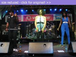 Posted image has been reduced in size. Size of original image (136170 KB) is 799 x 599 pixels. Click image to view full size and better quality!
