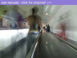 Posted image has been reduced in size. Size of original image (67162 KB) is 640 x 480 pixels. Click image to view full size and better quality!