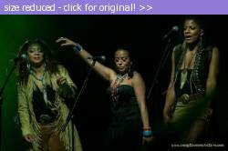 Posted image has been reduced in size. Size of original image (53066 KB) is 720 x 478 pixels. Click image to view full size and better quality!