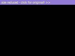 Posted image has been reduced in size. Size of original image (39700 KB) is 640 x 480 pixels. Click image to view full size and better quality!