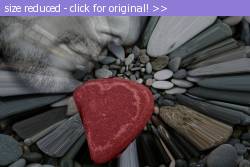 Posted image has been reduced in size. Size of original image (158146 KB) is 800 x 533 pixels. Click image to view full size and better quality!