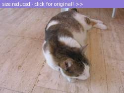 Posted image has been reduced in size. Size of original image (105275 KB) is 640 x 480 pixels. Click image to view full size and better quality!