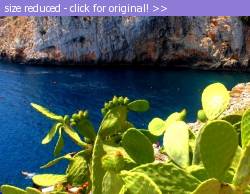 Posted image has been reduced in size. Size of original image (142864 KB) is 619 x 480 pixels. Click image to view full size and better quality!