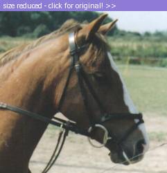 Posted image has been reduced in size. Size of original image (29798 KB) is 528 x 549 pixels. Click image to view full size and better quality!