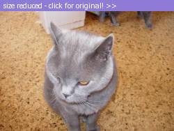 Posted image has been reduced in size. Size of original image (54658 KB) is 648 x 486 pixels. Click image to view full size and better quality!