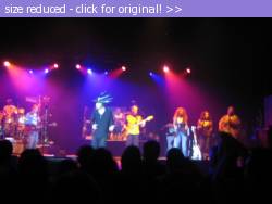 Posted image has been reduced in size. Size of original image (142311 KB) is 1136 x 852 pixels. Click image to view full size and better quality!