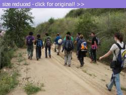 Posted image has been reduced in size. Size of original image (54417 KB) is 640 x 480 pixels. Click image to view full size and better quality!