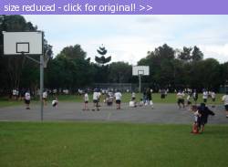 Posted image has been reduced in size. Size of original image (43469 KB) is 604 x 441 pixels. Click image to view full size and better quality!