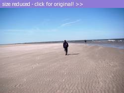 Posted image has been reduced in size. Size of original image (140814 KB) is 800 x 600 pixels. Click image to view full size and better quality!