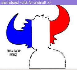 Posted image has been reduced in size. Size of original image (22481 KB) is 580 x 524 pixels. Click image to view full size and better quality!