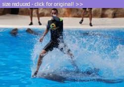 Posted image has been reduced in size. Size of original image (99942 KB) is 800 x 558 pixels. Click image to view full size and better quality!