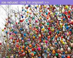 Posted image has been reduced in size. Size of original image (516441 KB) is 1280 x 1024 pixels. Click image to view full size and better quality!