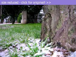 Posted image has been reduced in size. Size of original image (423250 KB) is 1024 x 766 pixels. Click image to view full size and better quality!