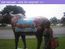 Posted image has been reduced in size. Size of original image (98967 KB) is 800 x 600 pixels. Click image to view full size and better quality!