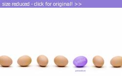 Posted image has been reduced in size. Size of original image (69643 KB) is 1680 x 1050 pixels. Click image to view full size and better quality!