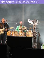 Posted image has been reduced in size. Size of original image (155120 KB) is 600 x 800 pixels. Click image to view full size and better quality!