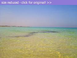 Posted image has been reduced in size. Size of original image (256032 KB) is 1024 x 768 pixels. Click image to view full size and better quality!