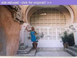 Posted image has been reduced in size. Size of original image (111654 KB) is 640 x 480 pixels. Click image to view full size and better quality!