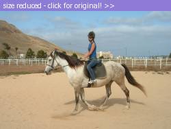 Posted image has been reduced in size. Size of original image (255541 KB) is 1024 x 768 pixels. Click image to view full size and better quality!