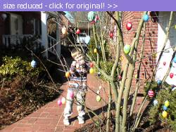 Posted image has been reduced in size. Size of original image (174999 KB) is 567 x 425 pixels. Click image to view full size and better quality!